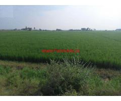 2.63 acres agriculture land for saleat veerulapadu near kanchikacherla