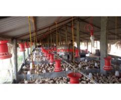 2 Acre Farm land with Poultry Farm for sale in Parsurampura