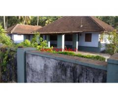 13.5 Acre old house with paddy land coconut farm for sale in Palakkad