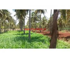 4 Acres farm land for sale at 14 km from Mysore ( Madepura )