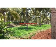 4 Acres farm land for sale at 14 km from Mysore ( Madepura )