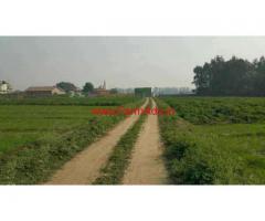 10 Bigha farm house and agriculture land for sale in noida