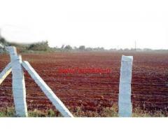 3 Acre agriculture land for sale near Sanchi Raisen road, Sanchi