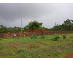 Fully Developed Cashew Farm for sale - kalinga Nagar - Odisha