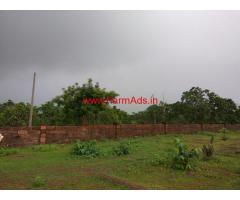 Fully Developed Cashew Farm for sale - kalinga Nagar - Odisha