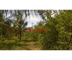 5 Acres Coconut Farm Land Available in Vathalagundu, Dindigul Ds