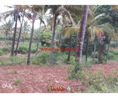 30 Acre agriculture land for sale near holenarasipura