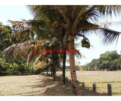 4 Acre Farm Land with Farm House for sale near Koppa, Sringeri