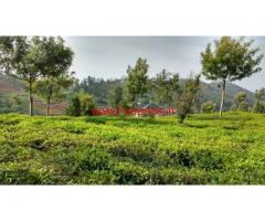 1.25 Acres Beautiful Tea Estate for sale near Doddabetta - Ooty