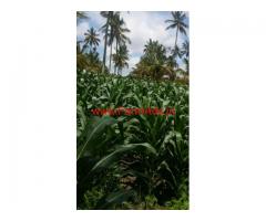 Agricultural land 6.16 Acres Bangalore - Holenarsipura - Hassan