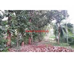 12 acres close to village land for sale  at 35 km from Mysore