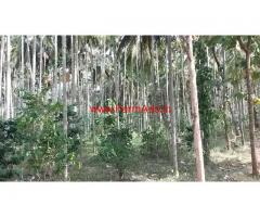 12 acres close to village land for sale  at 35 km from Mysore