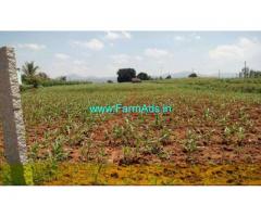 2.5 Acres Agriculture Land for sale Near Manchenahally, Gowribidnur