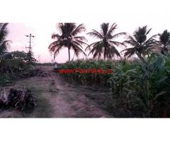 7.5 acres Coconut farm for sale at At Karya - Hullahalli