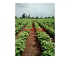 17.5 Acres Agriculture Land for sale in Wardha - Maharashtra