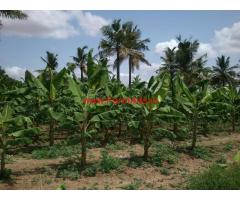 7 acres fully developed farm land for sale 43 kms from Mysore