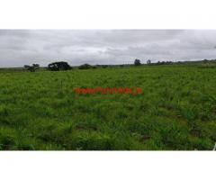 7 Acres Agriculture land for sale at Bilikere - Mysore - Madikeri Road