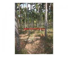 1.5 Acres Coconut and areca Farm for sale in Hiriyur