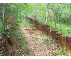 5.5 Acres Agriculture Land for sale in Puthencruz - Vadayyanpady