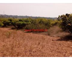 8 Acres of cashew trees farm Land for sale near chickballapur Bangalore