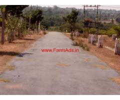 8 Acres of cashew trees farm Land for sale near chickballapur Bangalore