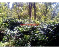 Coffee, Pepper and Fruits Farm Estate for Sale in Kodaikanal