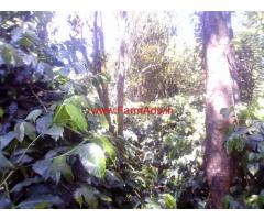Coffee, Pepper and Fruits Farm Estate for Sale in Kodaikanal
