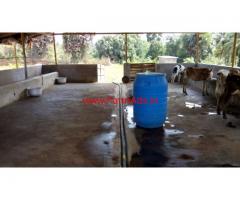 MINI Dairy Farm For Sale in Palakkad