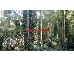 1.5 acre coffee estate for sale, near somwarpete, coorg