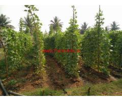 2.5 Acres Farm land with 2 BHK house for sale at Mysore