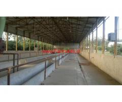 28 Acres Farm House, Dairy Units and Bunglow for sale at Nelamangala