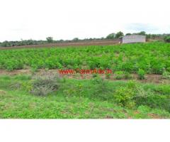 5 Acre Agriculture Land for sale near Kalagatagi 10Kms from Hubli