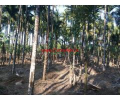 12 Acre Plantation with Big Old House for sale in Koppa