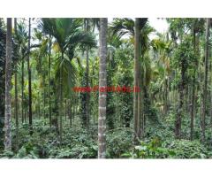 13 acre plantation for sale  on Balehonnur- Shringeri road