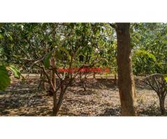 6 Acres Mango Farm for sale 130 KMS from Bangalore on Pondy road.