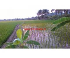 6 Acres Agriculture land for sale near Kolli Hills.