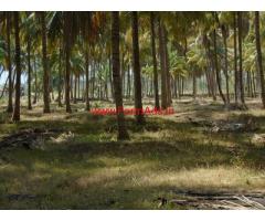 16 Acres Coconut Farm Land for Sale in Vathalakundu