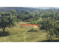 5 Acres Mango Farm for sale near Thaly - Denkanikotai