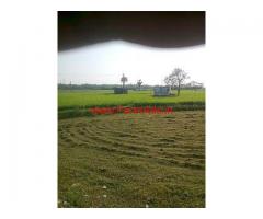 Agriculture Paddy Land for sale in Kancheepuram