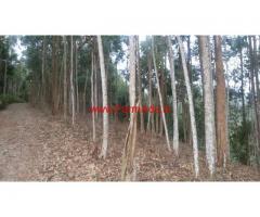 3 Acres Land for sale near Anachal - Munnar