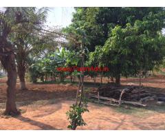 1.16 with 13 Gunta Extra Farm Land for sale near Mysore