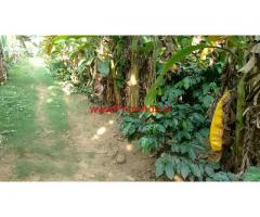 12 Acres Coffee estate for sale in Belur