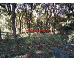 4.5 Acres vacant land for sale near Madikeri