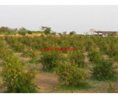 4 Acre Agricultural Land for sale