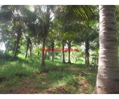 6 Acres Farm land with Farm House for sale in Palamedu - Madurai