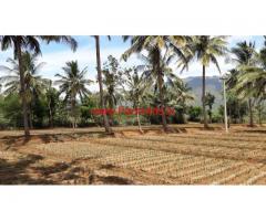 3 acres Cultivated agricultural farm land for sale in kollegal