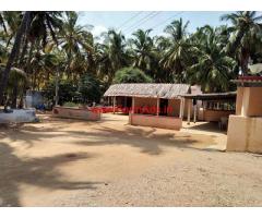5 acre well maintaned coconut farm for sale in Gudimangalam