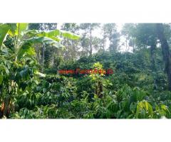2 Acre Coffee Estate for sale in 6 KMS from Sakleshpura