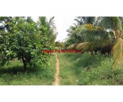 17 Acres Mango Farm for sale near Rajapalayam, Tamilnadu