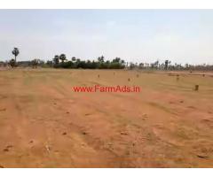 3 acers agriculture land at Kasinayana mandal - Kadapa